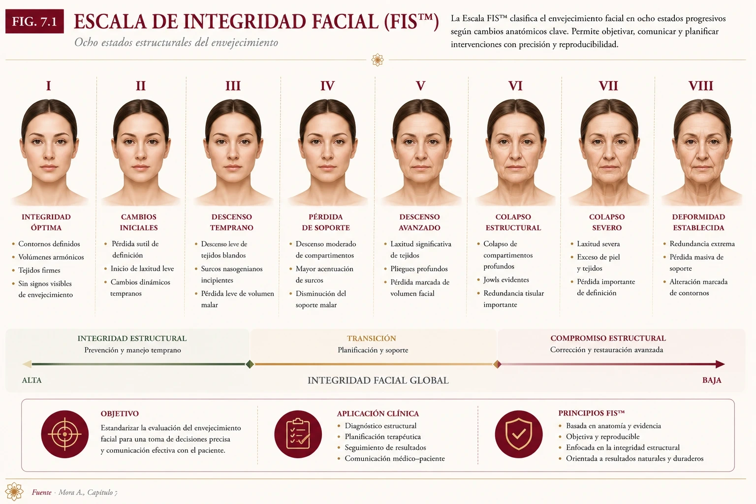 Escala de Integridad Facial (FIS™): ocho estados estructurales del envejecimiento facial, de integridad óptima a deformidad establecida